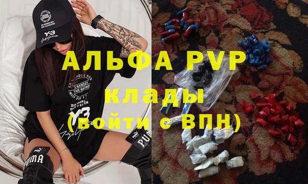 твердый Богданович