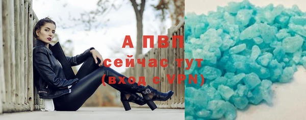 СК Богородск