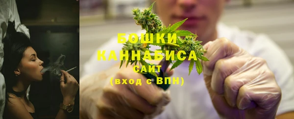 СК Богородск