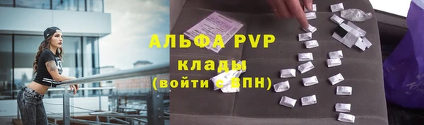 СК Богородск