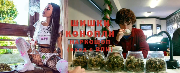 твердый Богданович