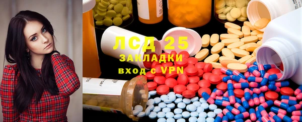 твердый Богданович
