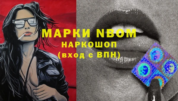 2c-b Богородицк