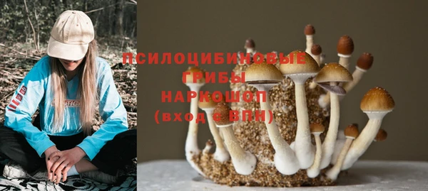 твердый Богданович