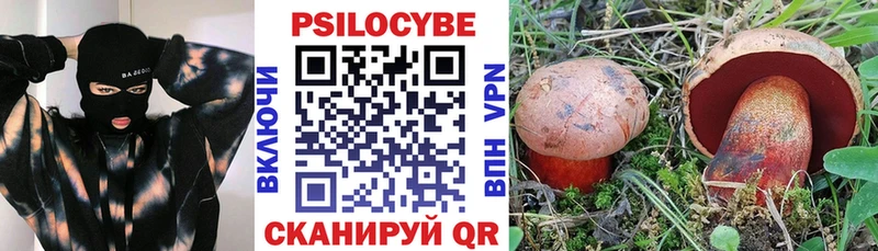 Купить где  Кыштым  Галлюциногенные грибы GOLDEN TEACHER 